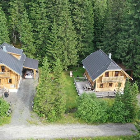 Almhaus & Almchalet Flattnitz Zewnętrze zdjęcie