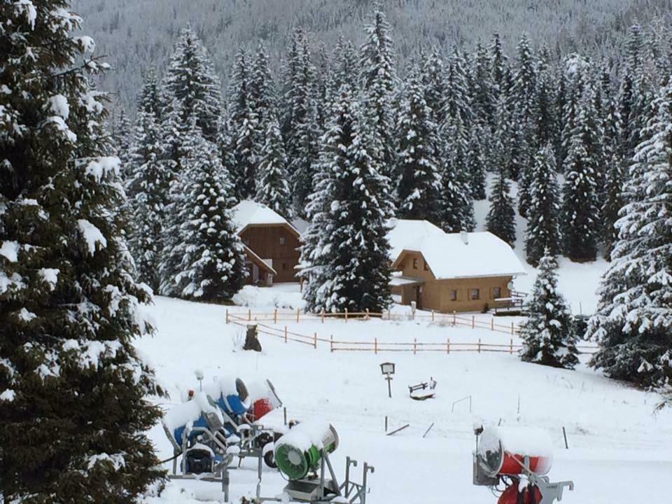 Almhaus & Almchalet Flattnitz Zewnętrze zdjęcie