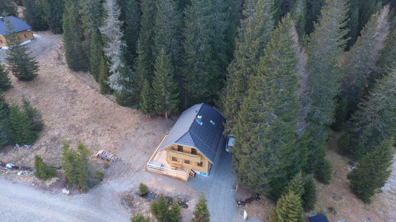 Almhaus & Almchalet Flattnitz Zewnętrze zdjęcie